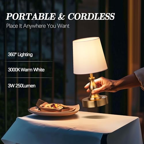 PARTPHONER Mini Cordless LED Table Lamp, 5200mAh Rechargeable Battery Operated Lamp, 3-Level Brightness, Touch Dimmable De...