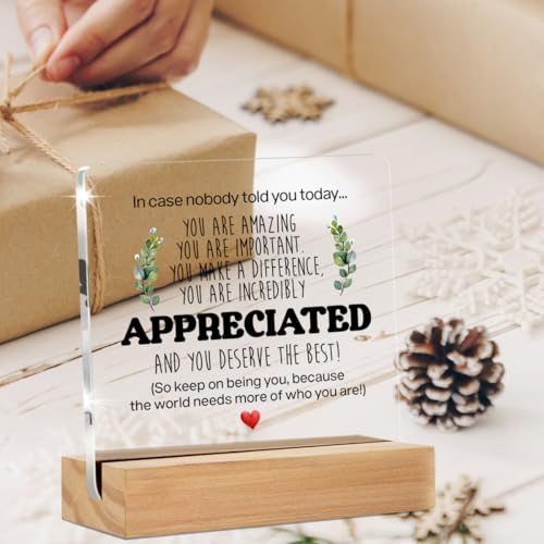 Inspirational Gift Ideas - Thank You Gifts for Women Men Friends - Appreciation Gifts for Coworker - Motivational Quote Cl...