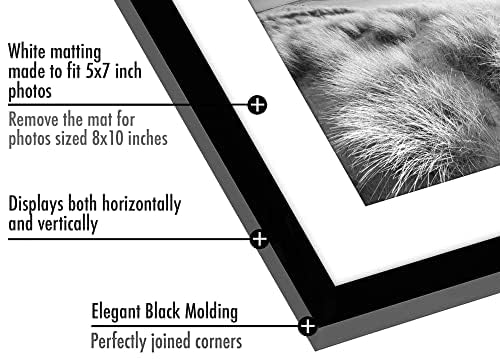 Americanflat 8x10 Picture Frame with Polished Plexiglass - Set of 5 - Use as 5x7 Frame with Mat or Display 8x10 Photo With...