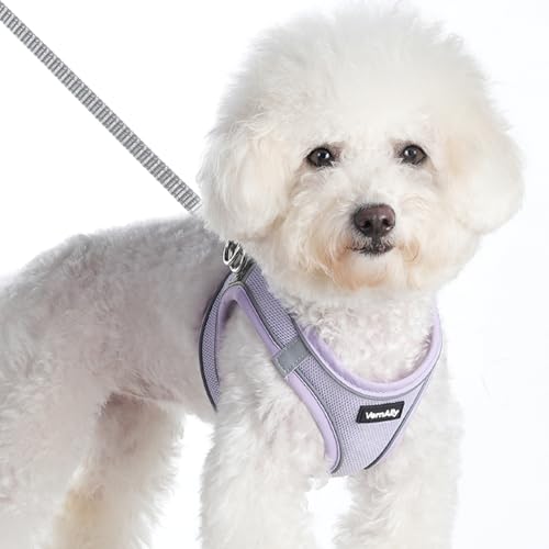VernAlly Sparkly Dog Harness Small Sized and Leash Set for Small Dogs Cats,Purple S Puppy Harness, Step in Soft Dog Reflec...