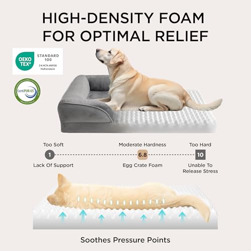 Bedsure Orthopedic Dog Bed Medium Size Dogs - Washable Small Medium Dog Cat Bed Waterproof, Comfort Cats Couch Sofa with W...
