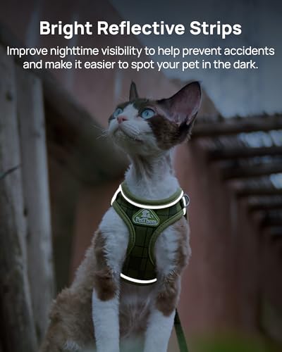 PetThem Upgraded Cat Harness and Leash Set - Step-in Escape Proof Adjustable Cat Harness, Comfortable Soft Lightweight, Re...