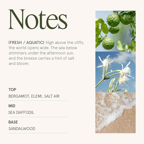 LA JOLIE MUSE Santorini Salt Air Candle - Bergamot, Sea Daffodil, Sandalwood | 6 oz Natural Soy Wax | 40 Hours Clean Burn...