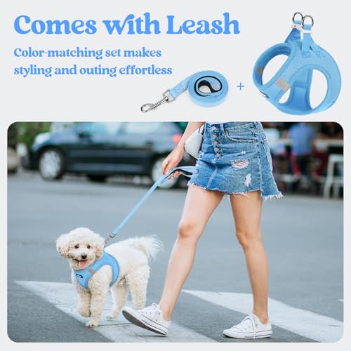 rabbitgoo Dog Harness Small Sized and Leash Set, Step in Soft Light Puppy Vest, Breathable Mesh Pet Harness, Reflective fo...