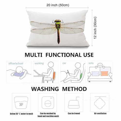 Smooffly Farmhouse Oblong Rectangle Throw Pillow Case, Green Darner Dragonfly Isolated with Clipping Path Pillow Cases Cot...