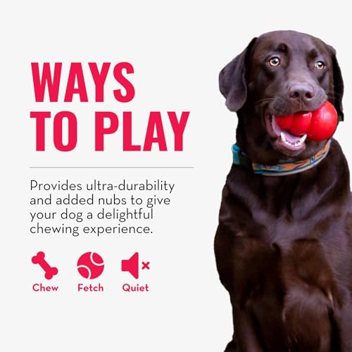KONG Ring - Natural Rubber Ring Toy for Healthy Chewing Habits - Chew Toy Supports Dog Dental Health - Dog Toy Supports In...