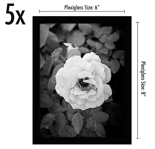 Americanflat 6x8 Picture Frame with Polished Plexiglass - Set of 5 - Galleria Collection - Picture Frames for Tabletop and...