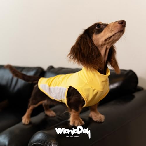 WienieDay Dachshund Dog Cooling Vest, Breathable Summer Dog Cooling & Quick-Dry Shirt for Outdoor Activities,Mini Dachshun...