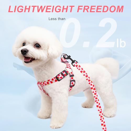 BEAUTYZOO Dog Harness Small Sized Dog Girl, No Pull Dog Harness and Leash Set,Step in Soft Light Puppy Vest, No Choke Heav...