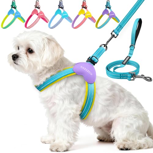 Kazazoo No Pull Small Dog Harness and Leash Set, Adjustable Puppy Soft Vest Harness with Breathable Mesh Padded, Reflectiv...