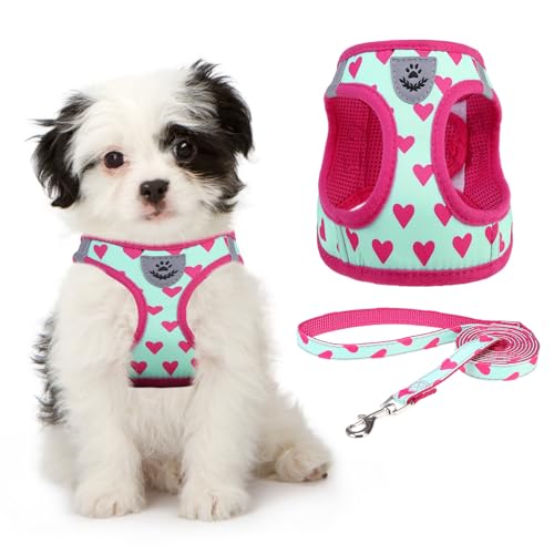 KOOLTAIL Valentines Dog Harness and Leash Set for Small Medium Dogs, Step in No Pull Soft Mesh Dog Harness Padded Pet Ves...