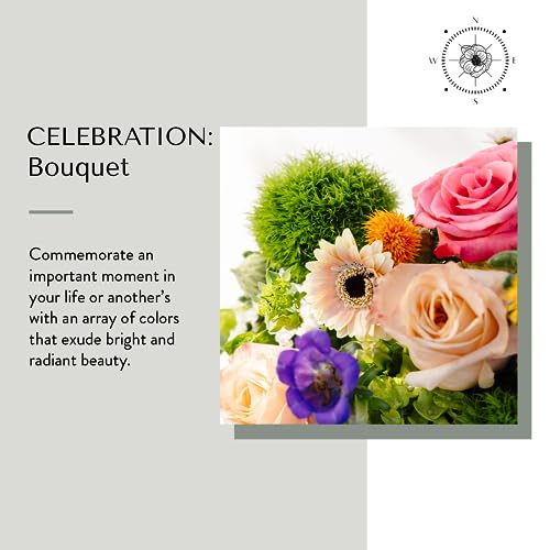 Floral Compass by Nature’s Flowers - Celebration Flower Bouquet - Prime Eligible, 30+ Fresh Cut Flowers for Delivery, No Vase