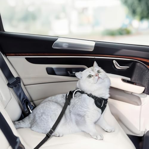 Cat Harness and Leash for Walking, Cat Car Harness, Escape Proof Soft Adjustable Vest Harnesses for Cats, Easy Control Bre...