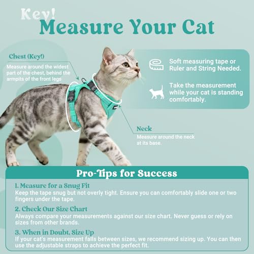 rabbitgoo Cat Harness and Leash, Escape Proof Vest with 3 Adjustable Buckles, Soft Comfortable Kitten Harness, Easy to Wea...
