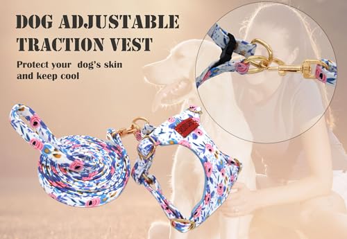 No Pull Dog Harness Adjustable Small Dog Harness and Leash Set, Lightweight and Soft Dog Harness No Choke Escape Proof Pet...