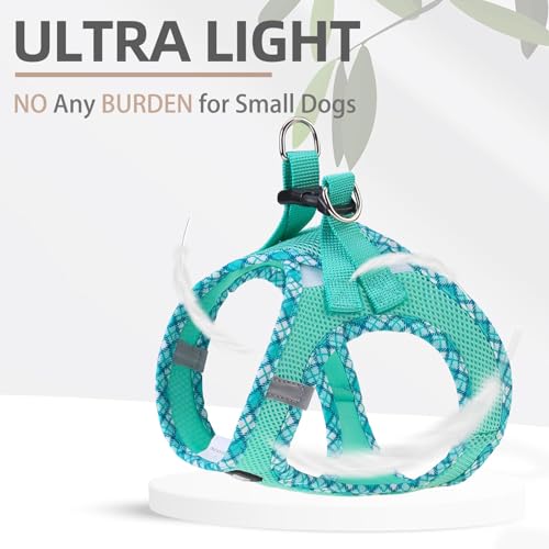 PUPTECK Dog Harness and Leash Set for Small Medium Dogs No Pull Step-in Soft Mesh Puppy Cat Vest Harnesses Reflective at N...