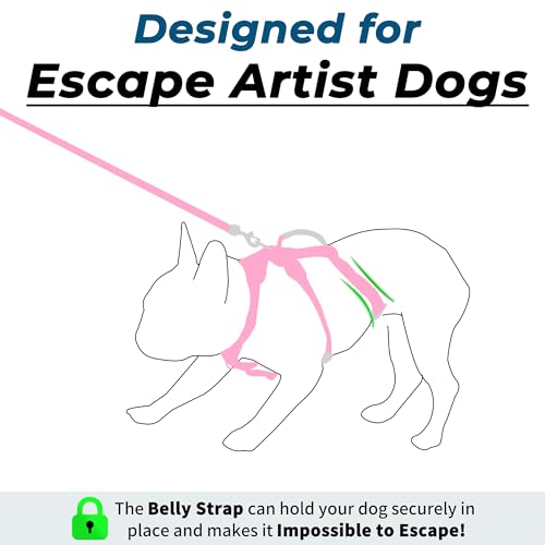 Wuffley Escape Proof Dog Harness and Leash Set, Lightweight Dog Harness with Lift and Assist Handle, No Pull Reflective Pe...