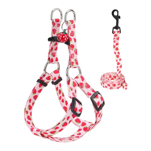 BEAUTYZOO Dog Harness Small Sized Dog Girl, No Pull Dog Harness and Leash Set,Step in Soft Light Puppy Vest, No Choke Heav...