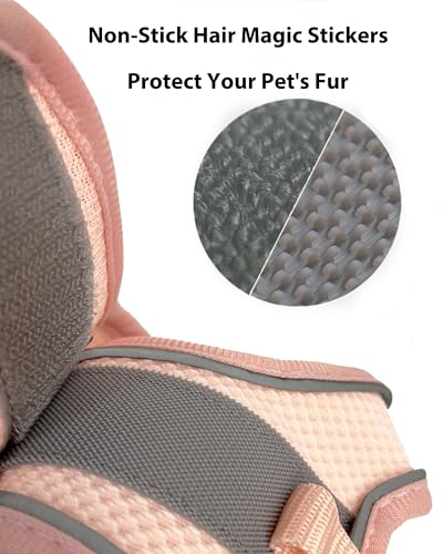 Aecllcea Dog Harness for Small Medium Sized Dog, Step in Puppy Harness and Leash Set Training Walking. (Blue, XXS)