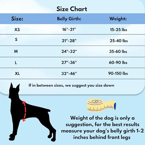 ShawnCo Dream Walk No-Pull Dog Harness- Adjustable, Comfortable, Easy to Use Pet Halter to Help Stop Pulling for Small, Me...