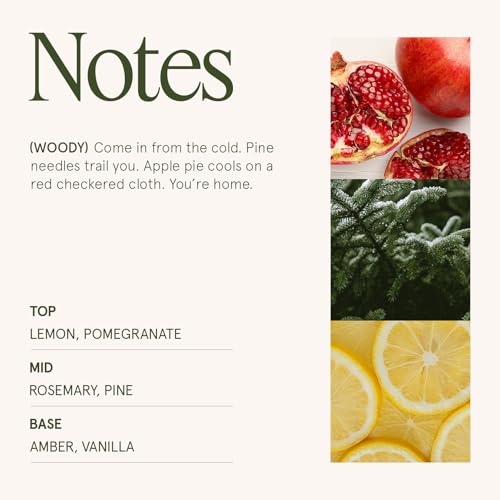 LA JOLIE MUSE Pine & Pomegranate Candle | Lemon, Pomegranate & Pine | 6 oz Natural Soy Wax | 40 Hours Clean Burn | Gift-Re...