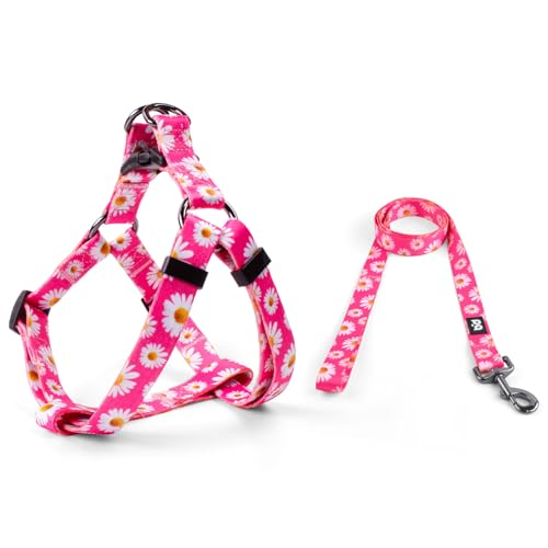 QQPETS Dog Harness Leash Set Adjustable Heavy Duty No Pull Halter Harnesses for Small Medium Large Breed Dogs Back Clip An...