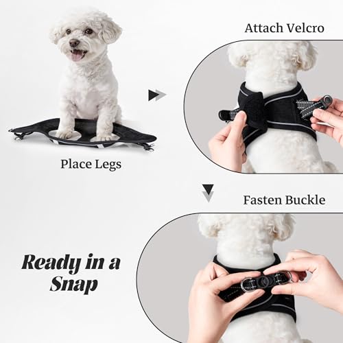 YIMEIS Dog Harness and Leash Set, No Pull Soft Mesh Pet Harness, Reflective Adjustable Puppy Vest for Small Medium Large D...