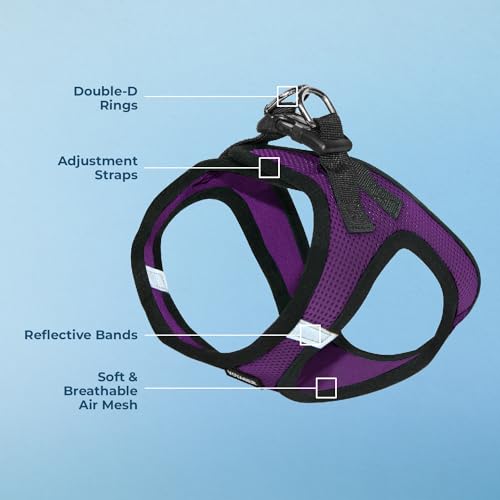 Best Pet Supplies Voyager Step-in Air Harness - All Weather Mesh, Reflective, No Pull Harness for Dogs, Cats - Secure with...