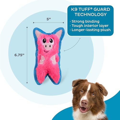 Outward Hound Durablez Minis – Squeaky Plush Dog Toy, No Stuffing for Less Mess, Interactive & Tough, Jumbo Squeaker, Pupp...