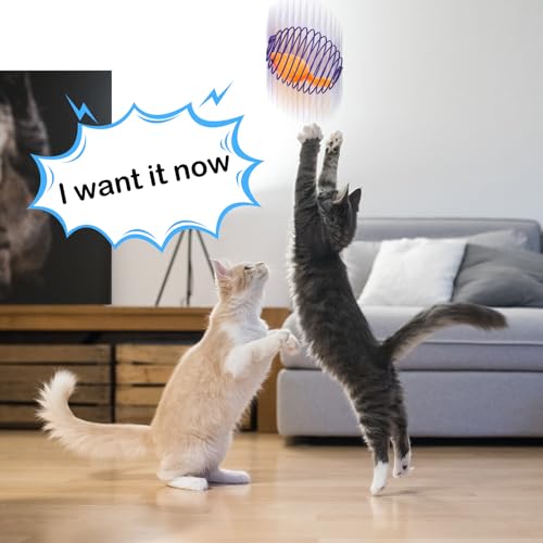 Jecery 5 Pcs Cat Spring Balls Toys Stretchable Rolling Balls Colorful Playful Coils Interactive Action Toy Caged Rats for ...