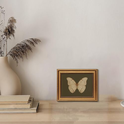 Gold Framed Wall Art Vintage Butterfly Canvas Wall Art White Butterfly Moody Insect Artwork Prints Picture for Living Room...