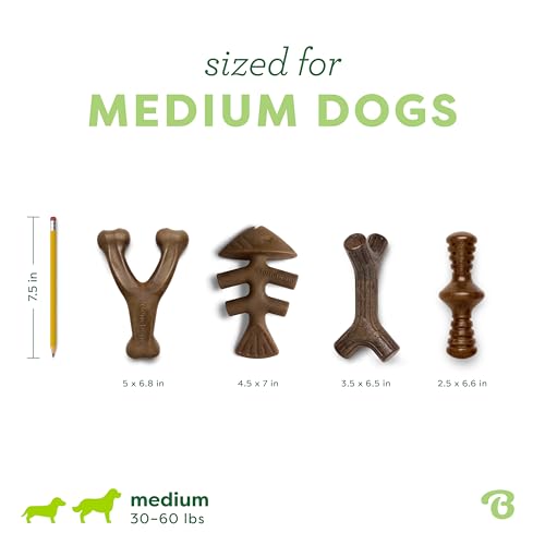 Benebone Medium 4-Pack Dog Toys for Aggressive Chewers – Durable Dog Bones, Made in USA – Dog Toys for Medium Dogs Under 6...