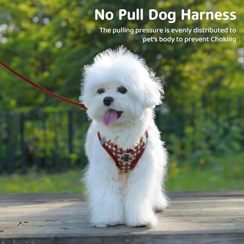 Small Dog Harness and Leash Set, Step in No Pull Adjustable Reflective Pet Harness, Soft Mesh Plaid Vest Harnesses for Sma...