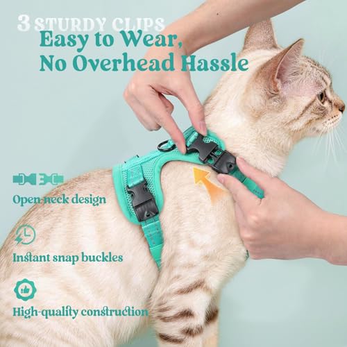 rabbitgoo Cat Harness and Leash, Escape Proof Vest with 3 Adjustable Buckles, Soft Comfortable Kitten Harness, Easy to Wea...