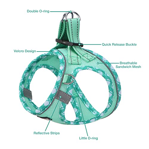 AMTOR Dog Harness with Leash Set,Upgrade No Pull Reflective Step-in Air All Weather Puppy Harness with Padded Vest for Sma...