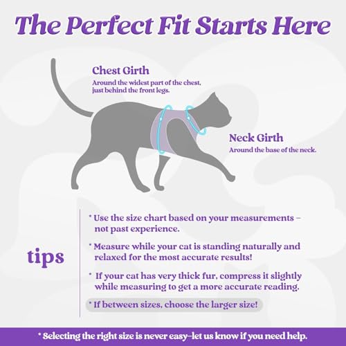 rabbitgoo Cat Harness and Leash Set for Walking Escape Proof, Adjustable Soft Kittens Vest with Reflective Strip for Cats,...