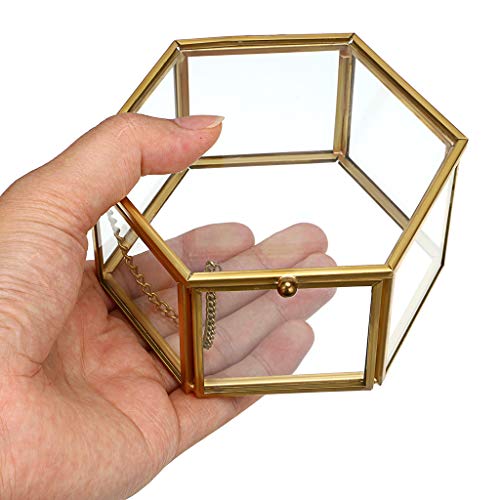 Hipiwe Preserved Flower Glass Box, Hexagon Glass Jewelry Decorative Bin, Ornate Trinket Display Organizer Case Keepsake Bo...