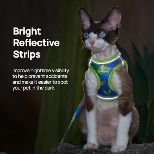 XXS Cat Harness and Leash Set for Kittens & Very Small Cats, Escape Proof Step-in Adjustable Vest, Soft Breathable Reflect...