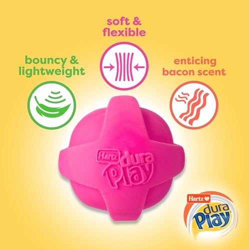 Hartz DuraPlay Bacon Scented Dog Toys, Small (Assorted Color)