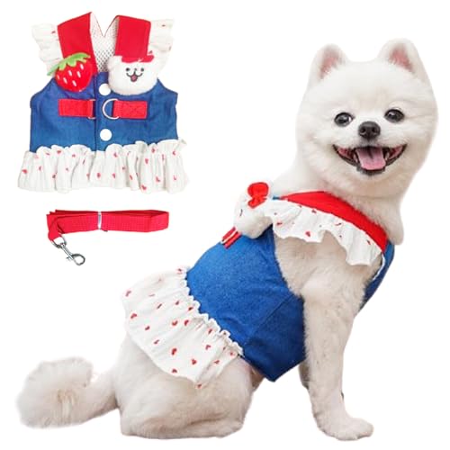 ANIAC Denim Dog Dress Harness with Leash Set Cute Small Dogs Clothes Girl Heart Patterns Puppy Dresses Breathable Mesh Cat...