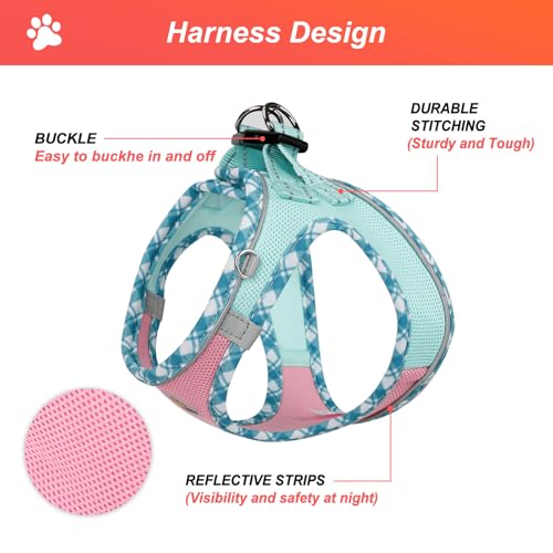 Hipubby Dog Harness Small Sized and Leash Set, No Pull Soft Mesh Puppy Vest, Reflective Breathable Lightweight Pet Harnes...