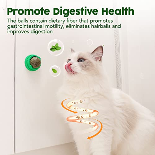 Potaroma Catnip Toys Balls 4 Pcs, Extra Cat Energy Ball, Edible Kitten Silvervine Toys for Cats Lick, Healthy Kitty Teeth ...