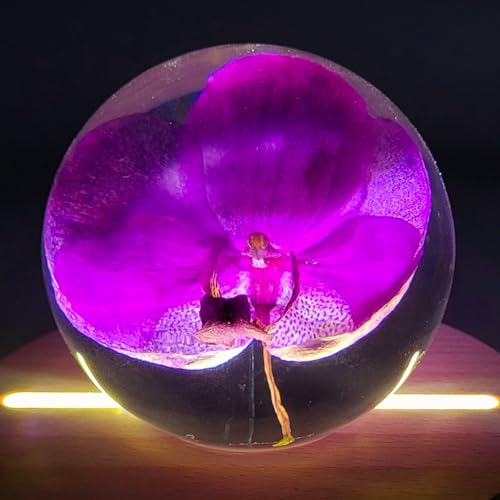 HQRP-Crystal 66mm Real Purple Orchid in Clear Lucite Resin Ball Anniversary Wedding Engagement Valentine October Birth Mon...