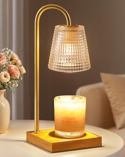 Hong-in Candle Warmer Lamp with Timer Dimmer,Birthday Gifts for Women Mom Sister,House Warming Gifts New Home Room Decor,V...
