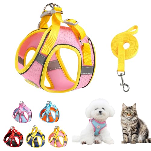 Ittokis Dog Harness for Small Medium Dogs, Kitten Harness and Leash Set, Step in Harness for Walking, Running, Training, S...