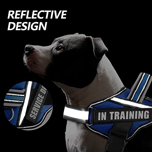 Dog Vest Harness and Patches Set, Animire in Training Service Dog Harness with 10 Dog Patches, Reflective Dog Vest with Ha...