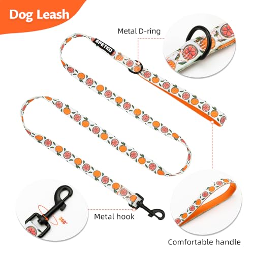 EPETKO Small Dog Harness and Leash Set of 6, No Pull Soft Lightweight Mesh Puppy Harness， Adjustable Cute Floral Pattern P...