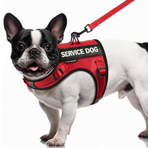 FAYOGOO Service Dog Vest for Small Dogs - Breathable Air Mesh Service Dog Harness with Leash & 6 Patches, Adjustable No-Ch...