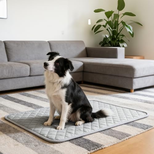 CHVOULTO Cooling Mat for Dogs: Premium Waterproof Dog Cooling Blanket, 5-Layer Materials Dog Cooling Mat, Washable Pet Coo...