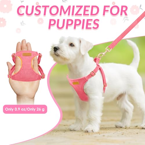 Lukovee No Pull Small Dog Harness with Leash - Lightweight Soft Puppy Vest Harnesses, Adjustable Pet Harnesses for Puppy S...